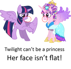 Size: 931x900 | Tagged: safe, princess cadance, twilight sparkle, alicorn, pony, g4, magical mystery cure, season 3, duo, duo female, female, insane troll logic, mare, op is a duck, simple background, transparent background, twilight sparkle (alicorn)