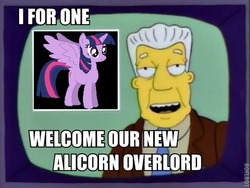 Size: 510x384 | Tagged: safe, twilight sparkle, alicorn, pony, g4, kent brockman, male, meme, overlord, text, the simpsons, twilight sparkle (alicorn)