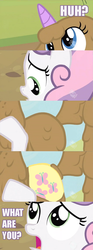 Size: 500x1351 | Tagged: safe, fluttershy, rarity, sweetie belle, twilight sparkle, chimera, g4, abomination, caption, comic