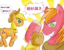 Size: 1063x829 | Tagged: safe, artist:ozu, applejack, big macintosh, earth pony, pony, g4, japanese, male, pixiv, stallion