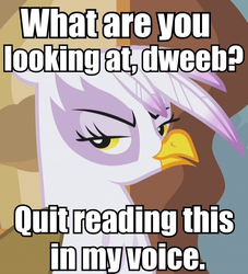 Size: 573x630 | Tagged: safe, gilda, griffon, g4, dweeb, female, fourth wall, image macro, solo