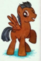 Size: 320x480 | Tagged: safe, artist:peachpalette, oc, oc only, oc:striker, pegasus, pony, pencil drawing, traditional art