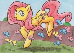 Size: 419x300 | Tagged: safe, artist:blightedangel, fluttershy, butterfly, pony, g4, female, lowres, solo, traditional art