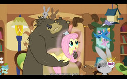 Size: 1024x640 | Tagged: safe, screencap, angel bunny, fluttershy, harry, g4, magical mystery cure, youtube caption