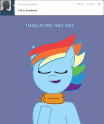 Size: 629x750 | Tagged: safe, rainbow dash, g4, alternate hairstyle, ask, blue background, bust, cyborg 009, english, front view, simple background, tumblr
