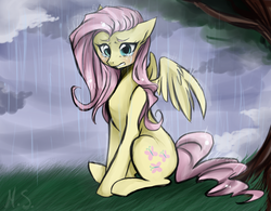 Size: 800x625 | Tagged: safe, artist:mscootaloo, fluttershy, g4, crying, rain