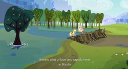 Size: 1595x861 | Tagged: safe, screencap, applejack, fluttershy, beaver, g4, english, flood, florida, youtube caption, youtube link