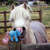 Size: 648x645 | Tagged: safe, bow tie (g1), horse, pony, g1, cute, horse-pony interaction, irl, irl horse, nuzzling, pet, photo, toy