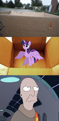 Size: 788x1613 | Tagged: safe, twilight sparkle, alicorn, pony, g4, dashie meme, exploitable meme, female, mare, neutral planet ambassador, twilight sparkle (alicorn)