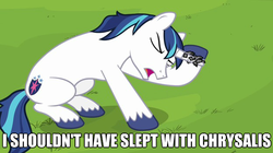 Size: 624x350 | Tagged: safe, edit, edited screencap, screencap, shining armor, pony, unicorn, g4, caption, female, image macro, implied sex, male, sexually transmitted disease, ship:shining chrysalis, shipping, silly, straight