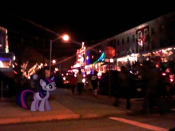 Size: 640x480 | Tagged: safe, artist:chaotic-pulse, twilight sparkle, g4, blurry, christmas lights, ponies in real life, street, vector