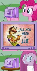 Size: 508x976 | Tagged: safe, pinkie pie, cat, dog, earth pony, pony, anthro, g4, catdog, conjoined, exploitable meme, innuendo, pinkamena diane pie, pushmi-pullyu, tv meme