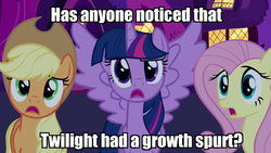 Size: 1280x720 | Tagged: safe, applejack, fluttershy, twilight sparkle, g4, confused, d:, height, image macro, looking at you, open mouth, question, raised eyebrow, spread wings, text, twilight sparkle (alicorn)