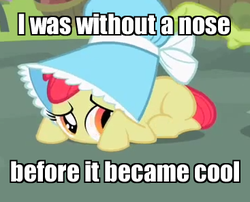 Size: 367x296 | Tagged: safe, edit, edited screencap, screencap, apple bloom, earth pony, pony, family appreciation day, g4, before it was cool, bonnet, cropped, female, hipster, image macro, no mouth, solo