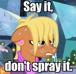Size: 742x720 | Tagged: safe, ms. harshwhinny, g4, image macro, text, wet, wet mane
