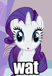 Size: 370x541 | Tagged: safe, rarity, pony, g4, image macro, solo, wat