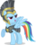 Size: 3523x4422 | Tagged: safe, artist:nickman983, commander hurricane, rainbow dash, pegasus, pony, g4, armor, female, helmet, simple background, solo, transparent background, vector