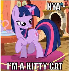 Size: 439x455 | Tagged: safe, twilight sparkle, pony, unicorn, g4, bedroom eyes, cushion, female, grin, image macro, mare, meme, raised hoof, smiling, solo, twilight cat, unicorn twilight