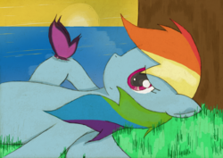 Size: 3502x2474 | Tagged: safe, artist:mrasianhappydude, rainbow dash, butterfly, pony, g4, female, solo