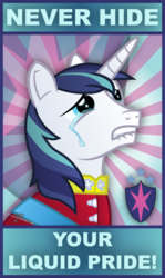 Size: 4300x7200 | Tagged: safe, artist:gray--day, shining armor, pony, unicorn, g4, absurd resolution, crying, cutie mark, liquid pride, male, stallion