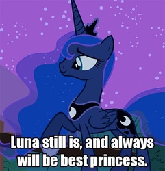 Size: 500x518 | Tagged: safe, edit, edited screencap, screencap, princess luna, alicorn, pony, g4, caption, female, image macro, mare, meta, solo, text