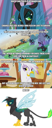 Size: 1389x3401 | Tagged: safe, gilda, queen chrysalis, changeling, griffon, g4, changelingified, text