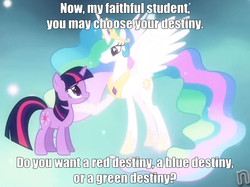 Size: 828x619 | Tagged: safe, edit, edited screencap, screencap, princess celestia, twilight sparkle, alicorn, pony, unicorn, g4, magical mystery cure, ascension realm, caption, cropped, crown, duo, ethereal mane, female, i never asked for this, image macro, jewelry, mare, mass effect, mass effect 3, meta, peytral, princess celestia's special princess making dimension, regalia, text, unicorn twilight