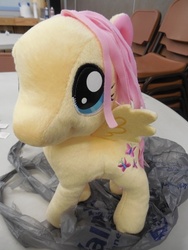 Size: 525x700 | Tagged: safe, fluttershy, pony, g4, funrise, irl, photo, plushie, solo