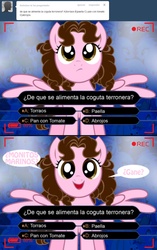 Size: 1236x1963 | Tagged: safe, artist:shinta-girl, oc, oc only, oc:shinta pony, ask, comic, spanish, translated in the description, tumblr, who wants to be a millionaire