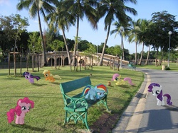 Size: 1600x1200 | Tagged: safe, artist:lukaa96, applejack, fluttershy, pinkie pie, rainbow dash, rarity, twilight sparkle, g4, bench, bridge, filly, mane six, palm tree, park, ponies in real life, tree