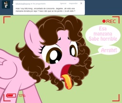Size: 1236x1049 | Tagged: safe, artist:shinta-girl, oc, oc only, oc:shinta pony, ask, spanish, translated in the description, tumblr