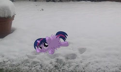 Size: 1539x916 | Tagged: safe, artist:lukaa96, twilight sparkle, g4, fluffy, ponies in real life, snow