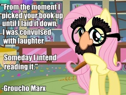 Size: 678x510 | Tagged: safe, edit, edited screencap, screencap, fluttershy, g4, magical mystery cure, glasses, groucho marx, groucho mask, image macro, quote