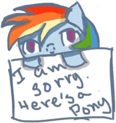 Size: 350x373 | Tagged: safe, artist:looneytastic, rainbow dash, g4, sign, sorry, text