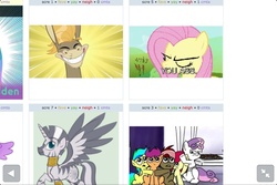 Size: 960x640 | Tagged: safe, cranky doodle donkey, fluttershy, zecora, alicorn, donkey, earth pony, pegasus, pony, unicorn, zebra, zebracorn, derpibooru, g4, exploitable meme, juxtaposition, juxtaposition win