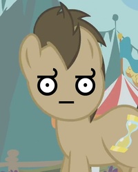 Size: 563x705 | Tagged: safe, edit, edited screencap, screencap, doctor whooves, time turner, earth pony, pony, g4, background pony, cropped, look of disapproval, looking at you, male, reaction image, solo, stallion