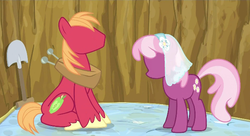 Size: 1276x692 | Tagged: safe, edit, edited screencap, screencap, big macintosh, cheerilee, earth pony, pony, g4, hearts and hooves day (episode), duo, hearts and hooves day, male, mattress, no face, shovel, stallion, template, wedding veil