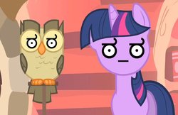 Size: 720x467 | Tagged: safe, owlowiscious, twilight sparkle, g4, look of disapproval, reaction image