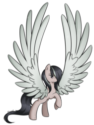 Size: 679x900 | Tagged: safe, artist:secret-pony, oc, oc only, oc:hurricane, pegasus, pony, impossibly large wings, solo