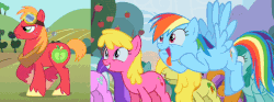 Size: 777x289 | Tagged: safe, screencap, amethyst star, big macintosh, carrot top, cherry berry, golden harvest, rainbow dash, sparkler, spring melody, sprinkle medley, earth pony, pony, g4, the super speedy cider squeezy 6000, animated, berrymac, big macintosh gets all the mares, goggles, male, out of context, ship:rainbowmac, shipping, stallion, straight