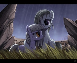 Size: 1040x854 | Tagged: safe, artist:ruhje, limestone pie, marble pie, earth pony, pony, g4, crying, duo, duo female, female, hug, pie sisters, rain, sad, siblings, sisters, wet, wet mane