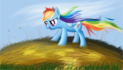 Size: 5277x3000 | Tagged: safe, artist:tgolyi, rainbow dash, pony, g4, female, high res, solo, windswept mane