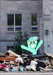 Size: 357x505 | Tagged: safe, lyra heartstrings, pony, g4, findlay, irl, irrational exuberance, ohio, photo, ponies in real life