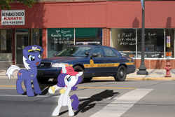 Size: 1600x1071 | Tagged: safe, rarity, pony, g4, car, crown victoria, findlay, ford, gangster, irl, ohio, photo, police, police car, police officer, ponies in real life