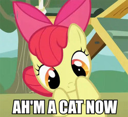 Size: 500x458 | Tagged: safe, apple bloom, cat, g4, cute, image macro, kitty bloom