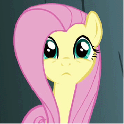 Size: 360x360 | Tagged: safe, screencap, fluttershy, pony, g4, animated, female, invisible stallion, out of context, solo