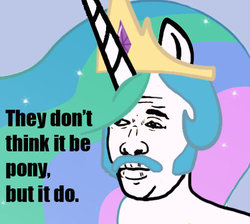 Size: 500x447 | Tagged: safe, princess celestia, g4, image macro, oscar gamble, they don't think it be like it is