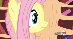 Size: 1593x863 | Tagged: safe, screencap, fluttershy, g4, fluttertree, hub logo, youtube caption, youtube link