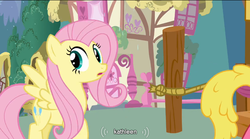 Size: 764x426 | Tagged: safe, screencap, cherry berry, fluttershy, g4, magical mystery cure, swapped cutie marks, youtube caption