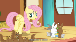 Size: 761x423 | Tagged: safe, screencap, angel bunny, fluttershy, g4, magical mystery cure, youtube caption